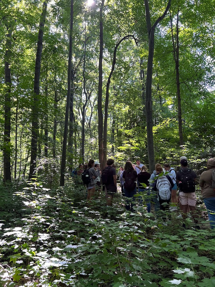 Forestry educator speaking with a group in a leafy hardwood forest