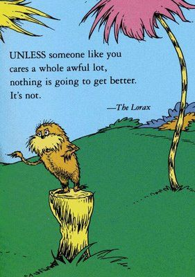 An illustrated Lorax standing on a stump beside a short quotation about caring for the future