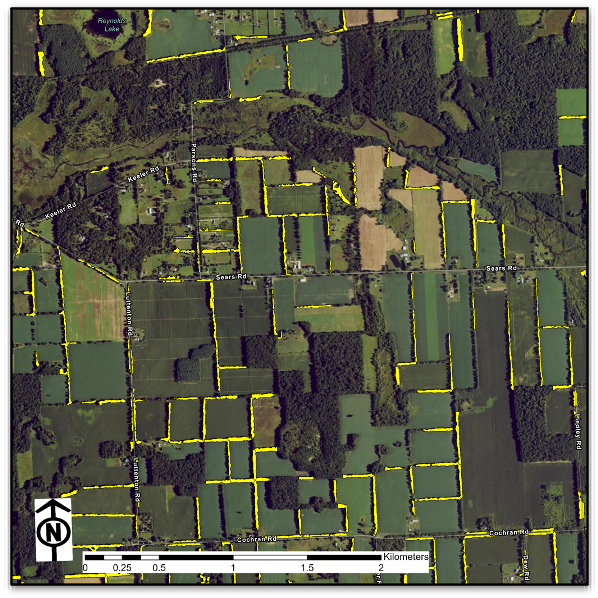Agroforestry Placeholder